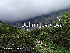 2025_06_16_Dolina Javorova